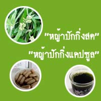 ประสพการณ์มะเร็ง